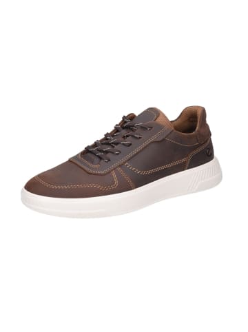 Ecco Schnürschuhe  Sportlich in braun