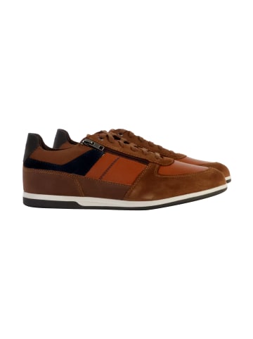Geox Niedrige Sneaker aus Leder Renan Suede Braun
