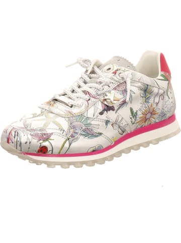 Cetti Sneaker in bunt