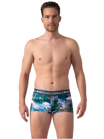 Muchachomalo 2er-Set: Boxershorts in Multicolor/Blue