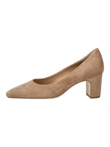 Högl Pumps in Taupe
