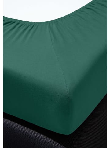 Irisette Spannbetttuch Jersey Vesuv in grün