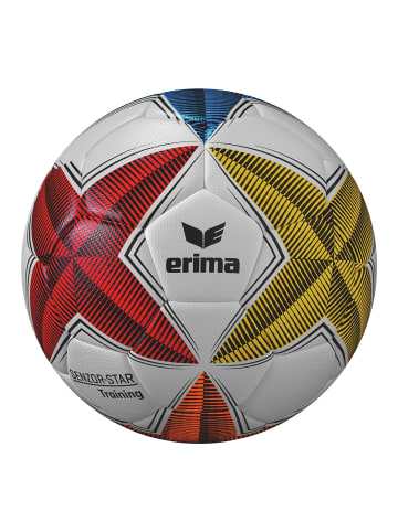 erima Erwachsene Training Fußball in weiss