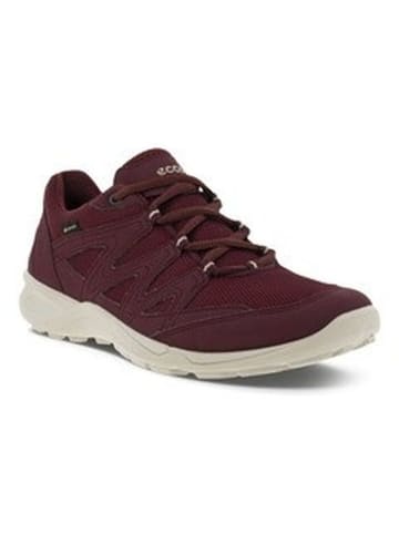 Ecco Sneaker TERRACRUISE LT W in morillo/morillo