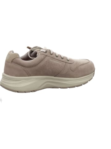 Joya Komfort Schnürschuh in sonstige
