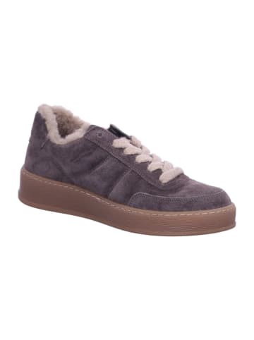 Gabor Sneaker Low in taupe