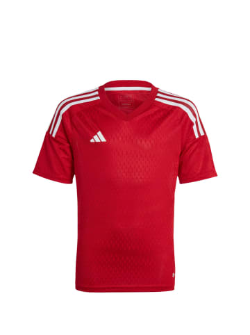 adidas Performance Fußballtrikot Tiro 23 Club in rot / weiß