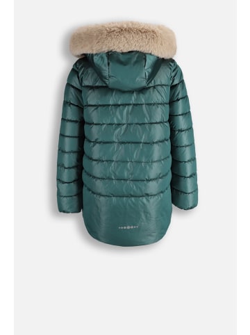 Coccodrillo Winterjacke in grün