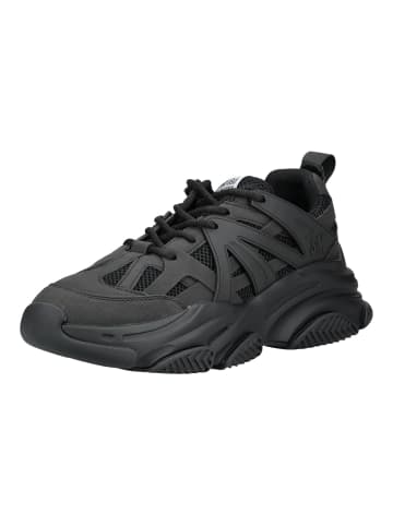 Steve Madden Sneaker in Schwarz