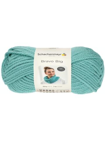 Schachenmayr since 1822 Handstrickgarne Bravo Big, 200g in Strong mint