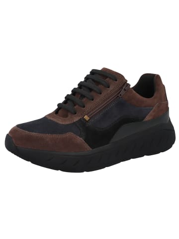 Solidus Schnürschuhe Ken - Weite K in Braun