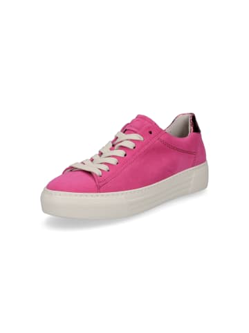 Gabor Comfort Sneaker in Pink