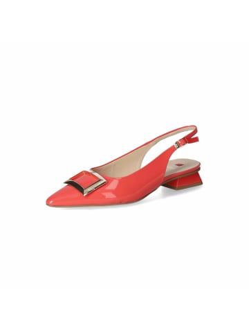 Högl Slingpumps in Rot