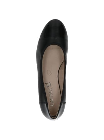 Caprice Pumps in BLACK COMB