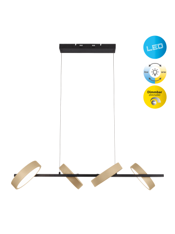 näve LED Pendelleuchte "TESSA" in beige - (L)110 cm x (B)52 cm x (H)150 cm - EEK F