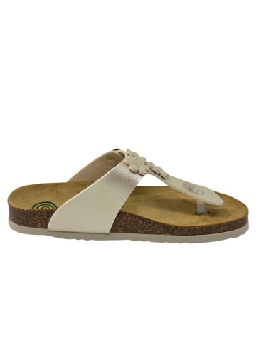 Dr. BRINKMANN Zehensteg  in Beige