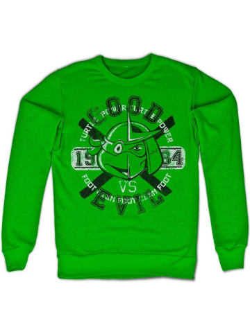 Teenage Mutant Ninja Turtles Pullover in Grün