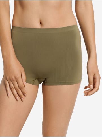 Hanro Panty Touch Feeling in covert green