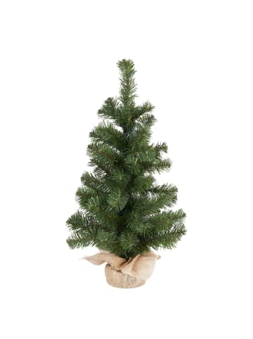Butlers Weihnachtsbaum TREE OF THE MONTH in Grün