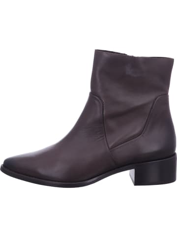 Paul Green Stiefeletten/Boot in braun