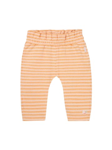 Noppies Hose Mulino in Check pattern Orange