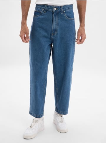 Santa Cruz Jeans Big Pants in medium stone