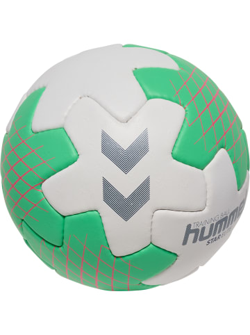 Hummel Handball Hmlstar Erwachsene in OFF WHITE/GREEN/RED