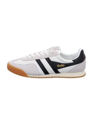 Gola Sneaker Low in Weiß