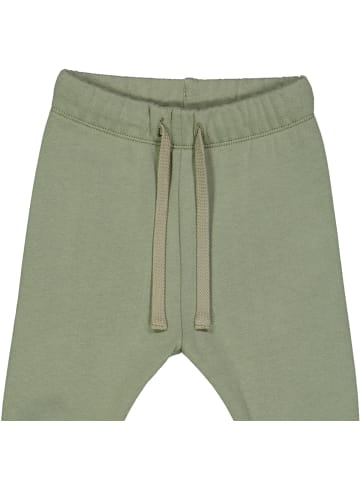 müsli Sweathose 1535107200 in gruen