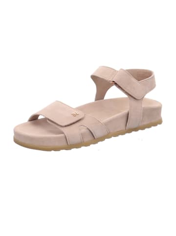Paul Green Sandalen in Beige