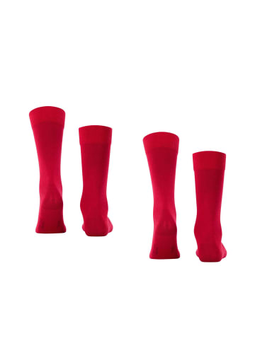 Falke Socken 2er Pack in Rot