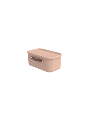Rotho Aufbewahrungskiste mit Deckel 12 l MALOJA in Meadow rose