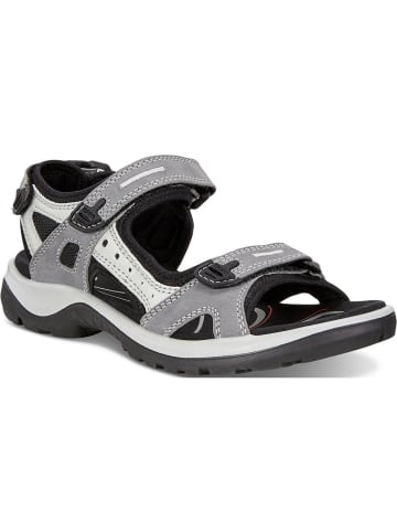 Ecco Outdoorsandalen in Titanium