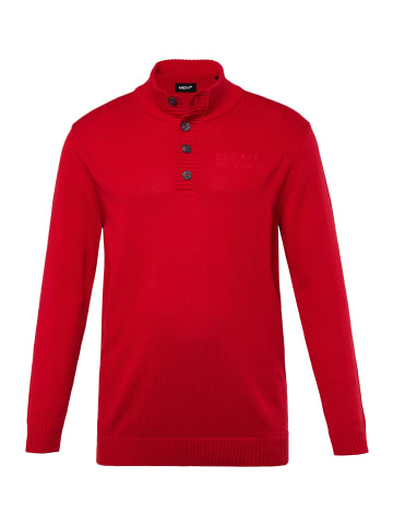 Men Plus Pullover in rot