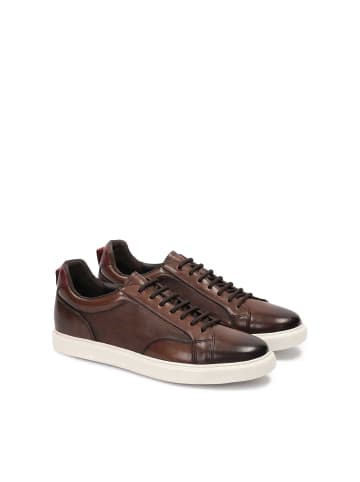 Kazar Sneaker Low in Braun