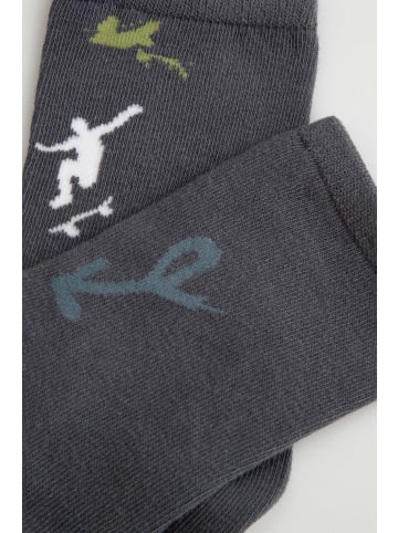 Coccodrillo Socken in bunt