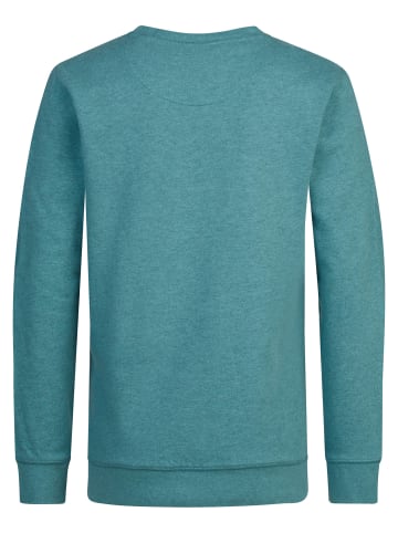 Petrol Industries Sweater mit Aufdruck Oak Park in Blau