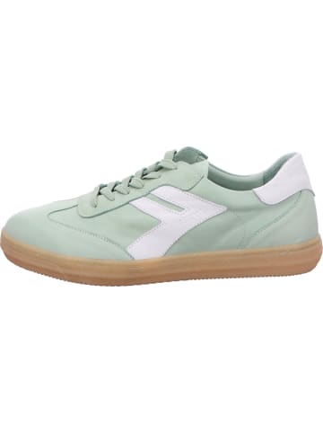 Andrea Conti Sneaker in grün