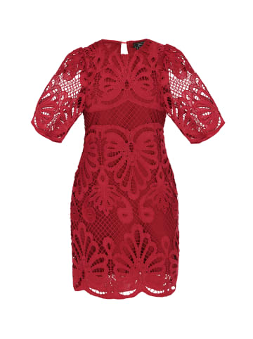 faina Women Dress in wine red