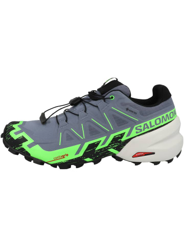 SALOMON Laufschuhe Speedcross 6 GTX in hellgrau