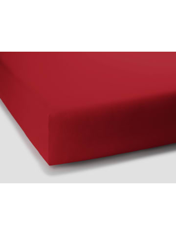Formesse Spannbettlaken Bella Donna Jersey in Rot
