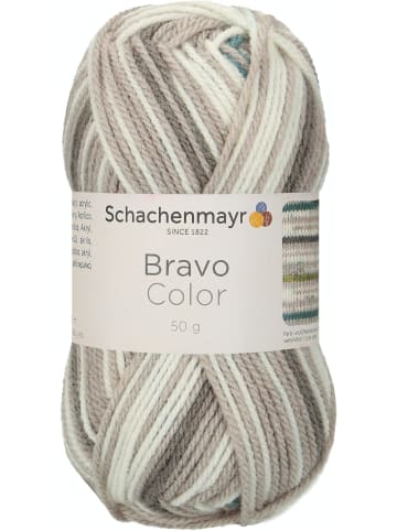 Schachenmayr since 1822 Handstrickgarne Bravo Color, 50g in Nebel