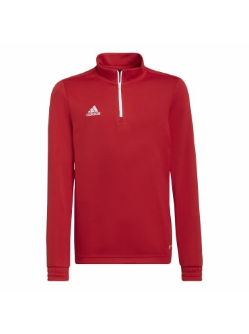 adidas Sweatshirt für Jungen in uni