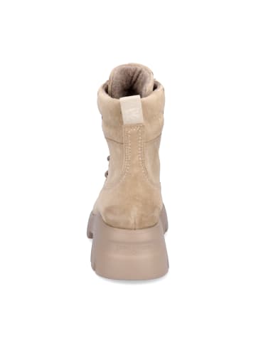 Paul Green Schnürboot in Beige