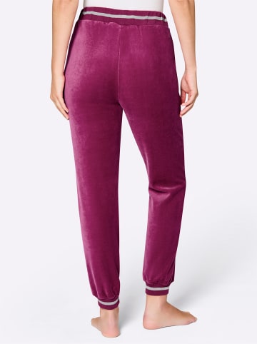 WITT WEIDEN Hose in malve