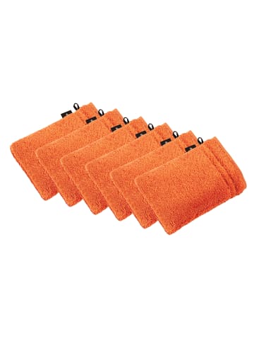 Vossen 6er Pack Waschhandschuh in fiesta
