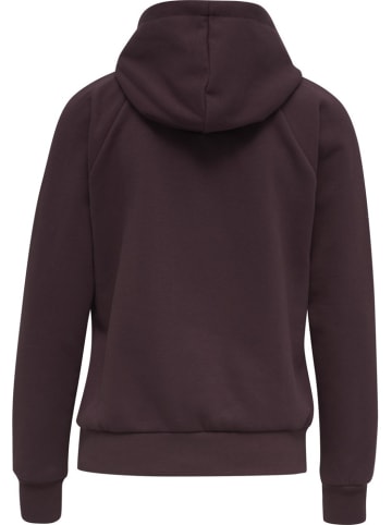 Hummel Hoodie in Braun