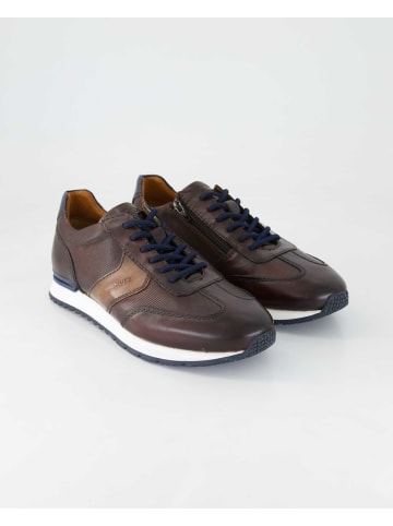 SALAMANDER Sneaker low in Braun