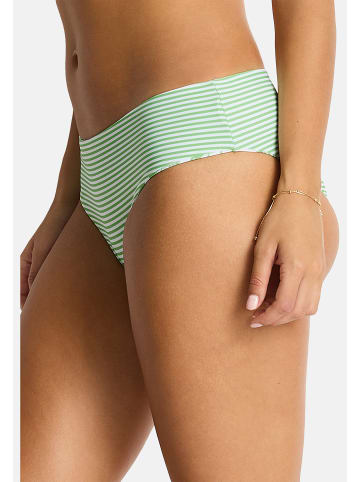 Sea Level Reef Unterteile in Matcha