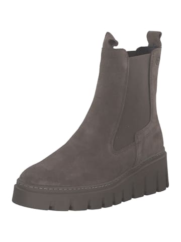 Tamaris Stiefeletten in taupe